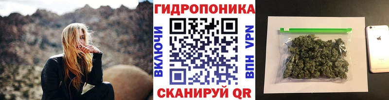 Шишки марихуана OG Kush  Лодейное Поле 